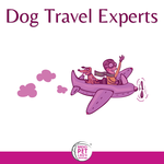 http://www.radiopetlady.com/wp-content/uploads/2016/02/dogtravel-cover-2016.png