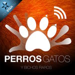 http://static.feedpress.it/logo/ybichosraros.jpg