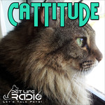 http://www.petliferadio.com/Cattitude1400.jpg