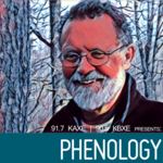 https://mediad.publicbroadcasting.net/p/kaxe/files/styles/npr-feeds-podcast-cover-art/public/201701/phenology_logo.png