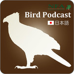 http://nfa-bird-podcast-jp.up.seesaa.net/image/podcast_artwork.jpg