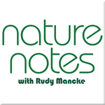 https://mediad.publicbroadcasting.net/p/wltr/files/styles/npr-feeds-podcast-cover-art/public/201410/nature_notes.png
