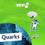 https://www1.wdr.de/mediathek/audio/sendereihen-bilder/quarks-wissenschaft-100~_v-Podcast.jpg
