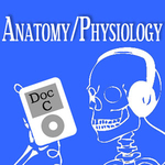 http://faculty.css.edu/gcizadlo/podcast/anatomy.jpg