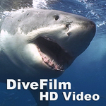 http://divefilmhd.com/podcasts/divefilmhdlogo1400.jpg