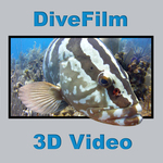 http://divefilm.com/3D_Podcasts/grouper_3d_4000.jpg