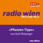 https://files.orf.at/podcast/wien/img/RW_Pflanzentipps.png