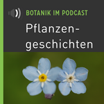 https://www.pflanzengeschichten.at/wp-content/uploads/2022/01/coverart_2022_pg-3.png