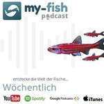 https://my-fish.org/wp-content/uploads/2019/10/podcast-Image-subbutton.jpg