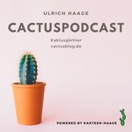 https://cactusblog.de/wp-content/uploads/2020/03/cactuspodcast-03.jpg
